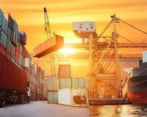 Structure of the international trade industry